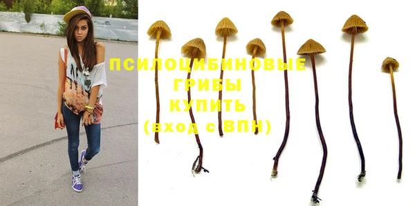 герыч Арсеньев