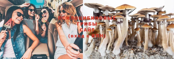 стафф Аркадак