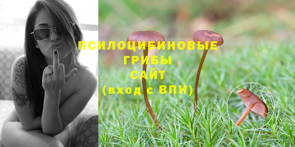 герыч Арсеньев